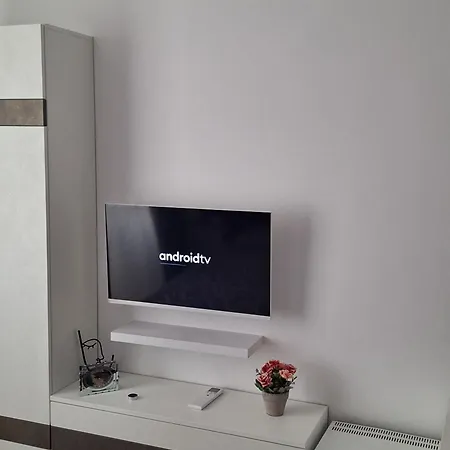 Apartment Manolovi *