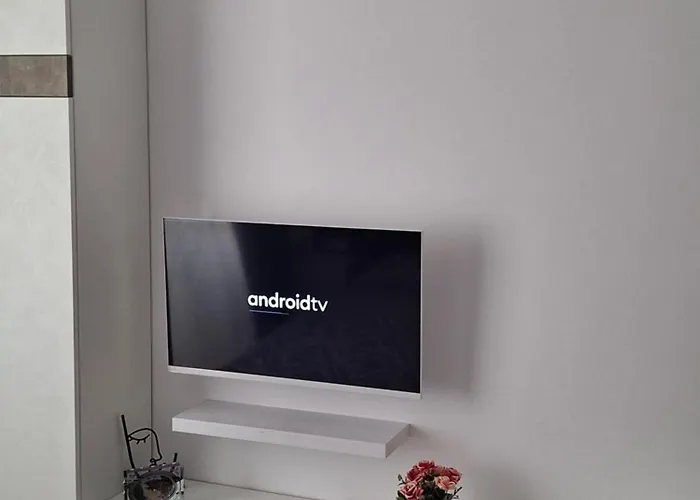 Apartment Manolovi *